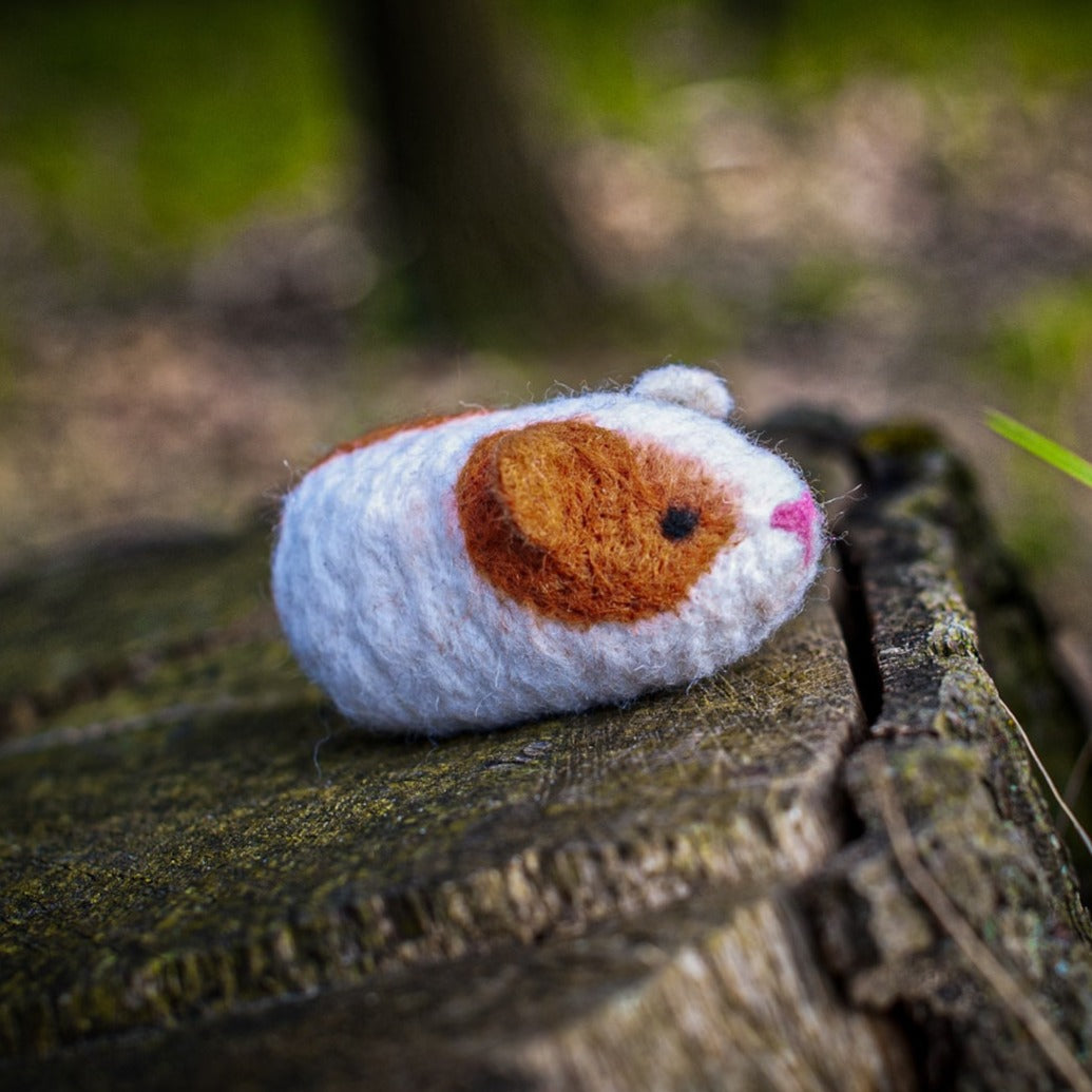 Needle felted toy Hamster with apple slice, Handmade 2024 wool soft sculpture little Hamster