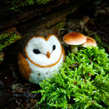 Barn Owl, Needle Felting Kit