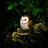 Barn Owl, Needle Felting Kit