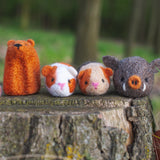 Guinea Pigs, Needle Felting Kit