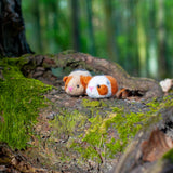 Guinea Pigs, Needle Felting Kit