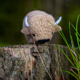 Bison, Needle Felting Kit