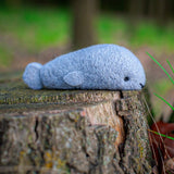 Seal, Needle Felting Kit