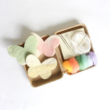 Mini Butterfly Felting Kit