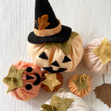 Pumpkins and a Witch Hat Pattern