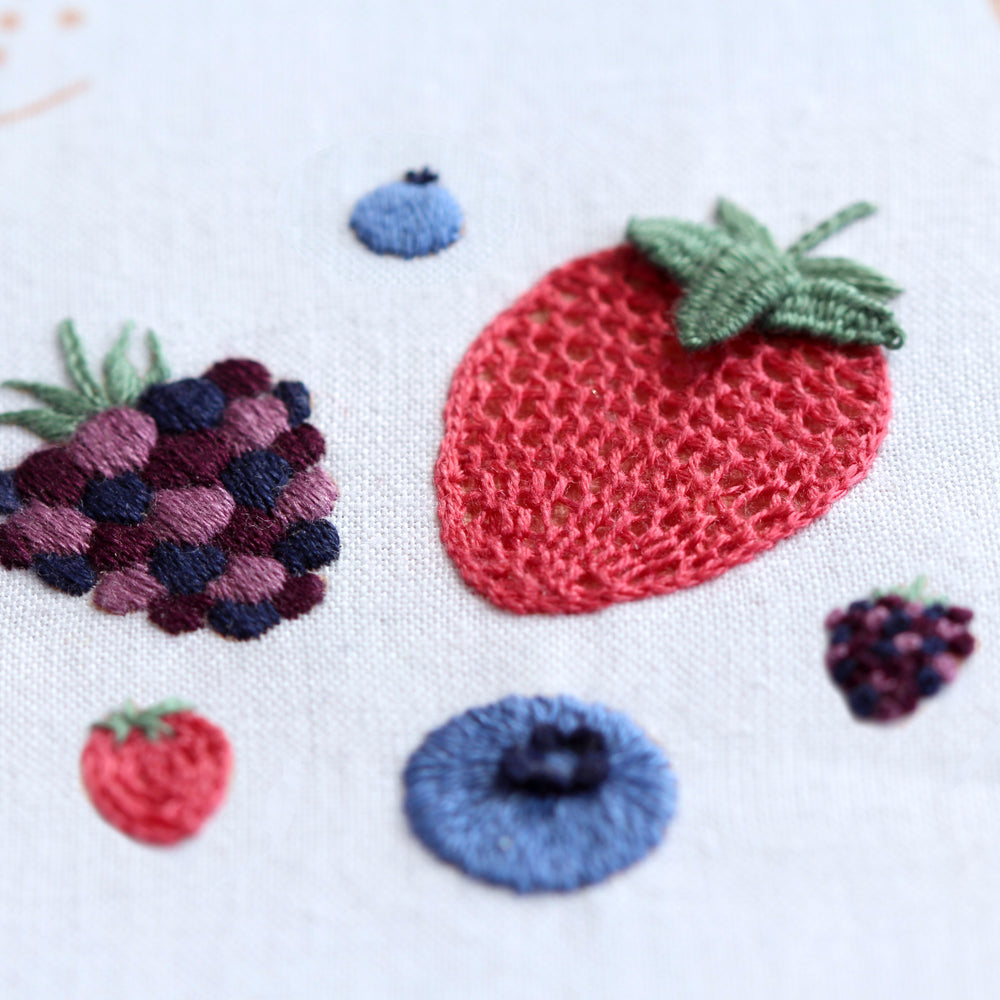 Stitch Fun: Round Red Berries  Embroidery stitches tutorial, Hand